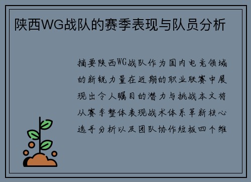 陕西WG战队的赛季表现与队员分析