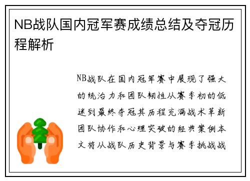 NB战队国内冠军赛成绩总结及夺冠历程解析